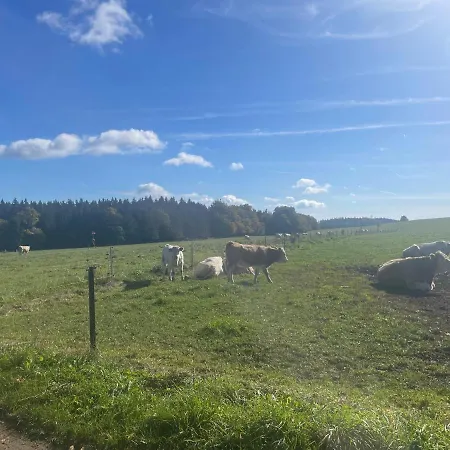 Studnice Na Vysocine Lägenhet Nove Mesto na Morave