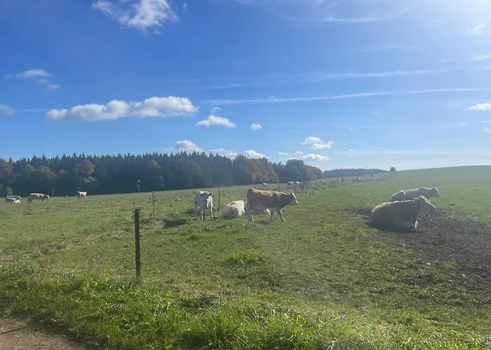 Studnice Na Vysočině Apartamento Nove Mesto na Morave